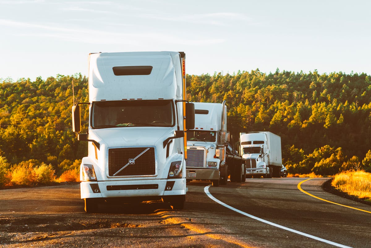 Best Car Transport Companies