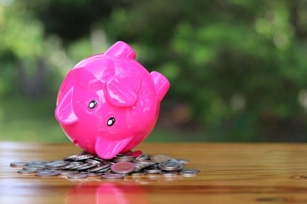 Best No Annual Fee Cards
